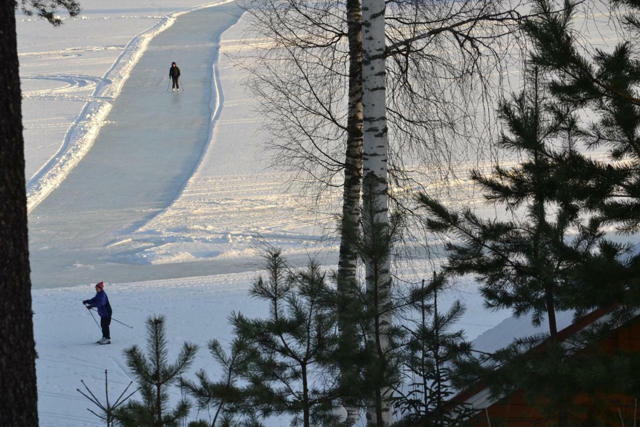 Valentin Cottage Enonkoski Zewnętrze zdjęcie