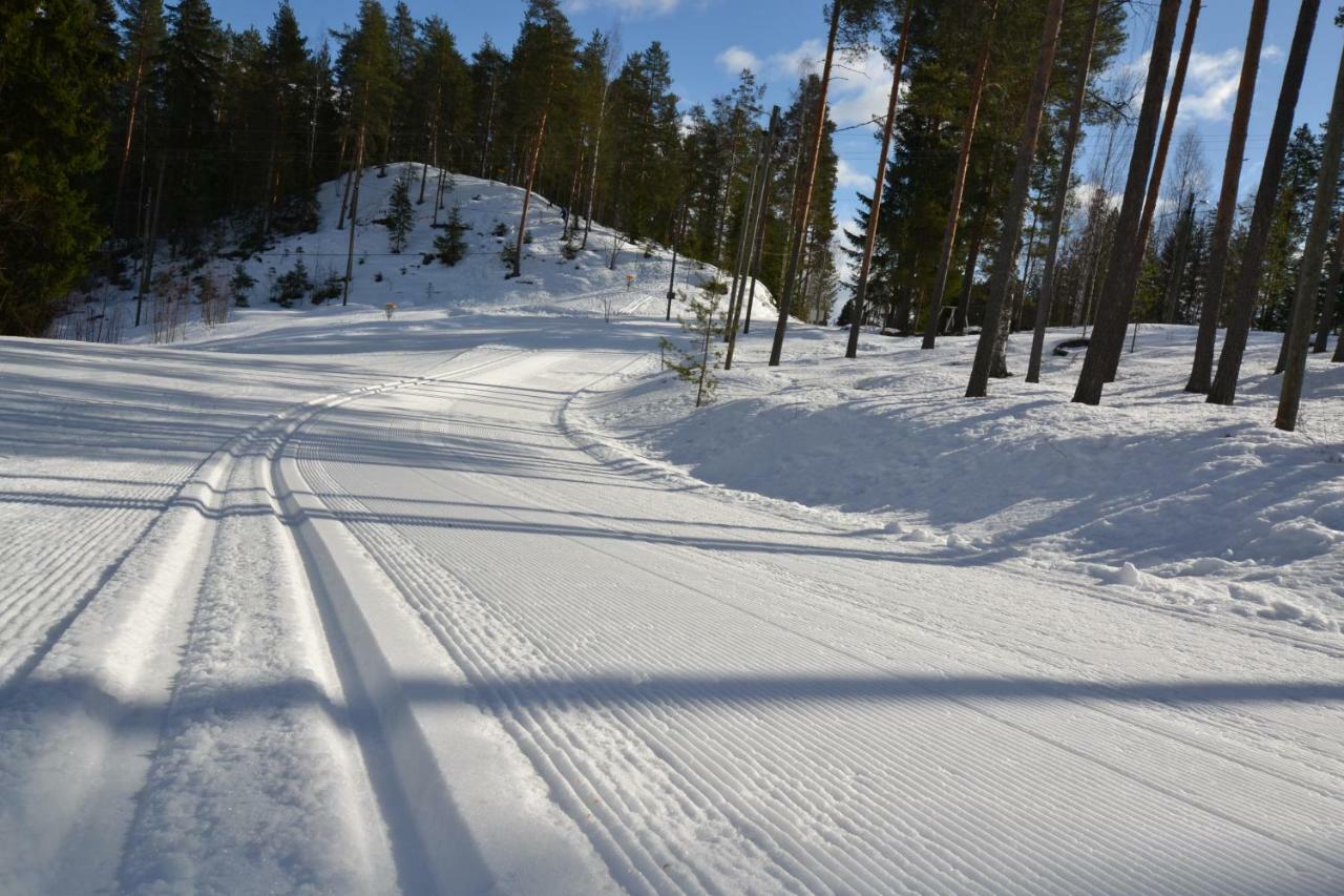 Valentin Cottage Enonkoski Zewnętrze zdjęcie